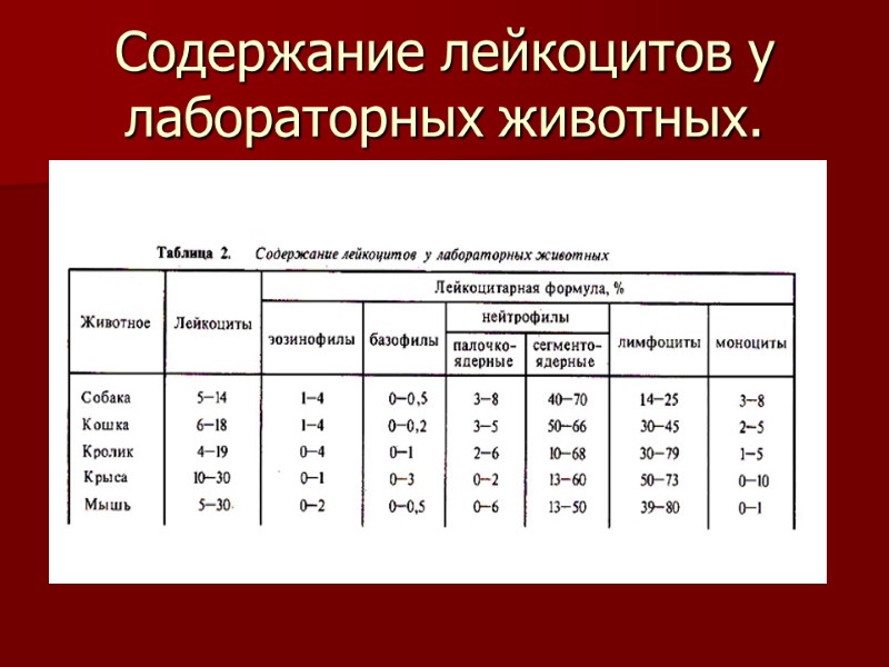 Содержание лейкоцитов у лабораторных животных.